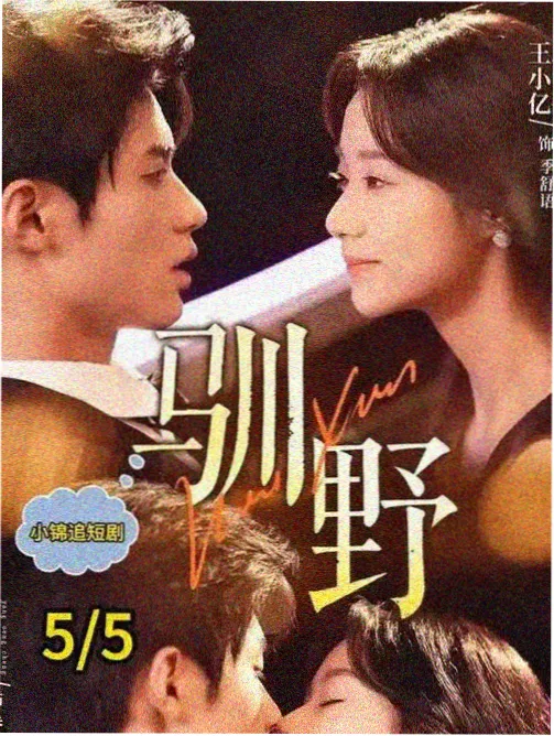 人物标本卡引路人阿册的势力归属示意
